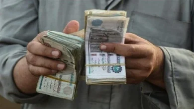 معاشات تكافل وكرامة شهر مارس 2026 موعد الصرف وخطوات الاستعلام بالتفصيل للمستفيدين