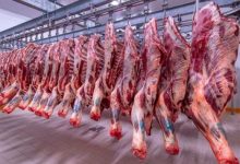 426 جنيهًا سعر اللحوم البلدي في الأسواق اليوم الأربعاء 18 مارس 2026 تعرف على أسعار اللحوم وأسواق اللحوم الطازجة