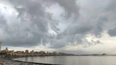 أجواء باردة ليلًا والأرصاد تكشف تفاصيل حالة الطقس غدا الأحد 8 مارس 2026