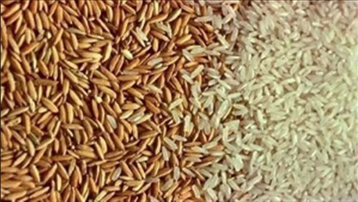 أسعار الأرز الشعير اليوم الجمعة 6 مارس 2026 الحبة العريضة والرفيعة تفاصيل الأسعار وأحدث التحديثات