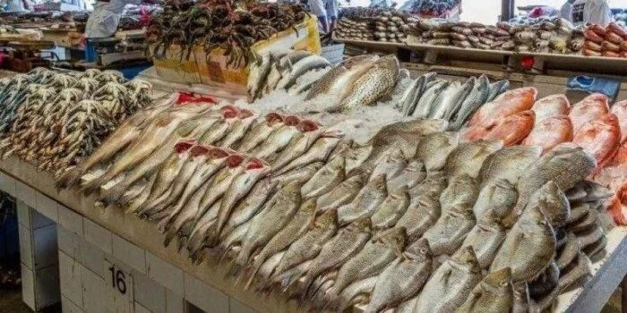 أسعار الأسماك والجمبري اليوم الخميس 5 مارس 2026 في الأسواق المحلية والعالمية