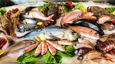 أسعار الأسماك والجمبري اليوم السبت 7 مارس 2026 في الأسواق المحلية والعالمية وأحدث الاتجاهات