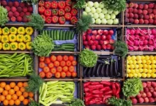 أسعار الخضراوات في الأسواق اليوم الثلاثاء 10 مارس 2026 تحديثات حصرية وتفصيل الأسعار للمنتجات الطازجة