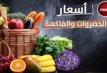 أسعار الخضروات والفاكهة اليوم الخميس 19 مارس 2026 مواجهة التغيرات وأبرز المستجدات في الأسواق المحلية