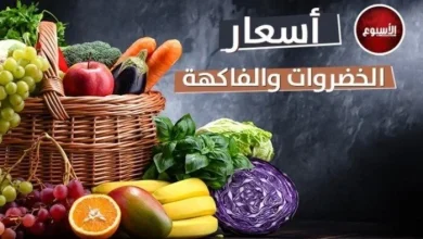 أسعار الخضروات والفاكهة اليوم الخميس 19 مارس 2026 مواجهة التغيرات وأبرز المستجدات في الأسواق المحلية
