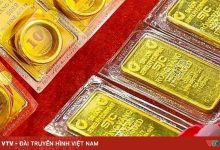 أسعار الذهب تتراجع بأكثر من 5 ملايين دونغ فيتنامي لكل تايل