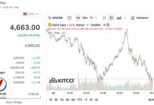 أسعار الذهب ترتفع مجددًا بعد هبوط حاد ظهر اليوم
