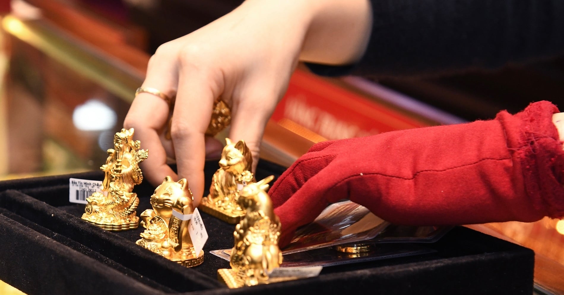 أسعار الذهب تنتعش في 7 مارس 2026 مع توقعات باستقرار أسعار سبائك SJC