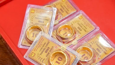 أسعار الذهب وخواتم الذهب في شركة SJC تشهد تراجعًا حادًا بخسارة تصل إلى مليوني دونغ فيتنامي للأونصة