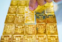 أسعار سبائك الذهب من شركة SJC تسجل ارتفاعًا جديدًا في نهاية يوم 20 مارس