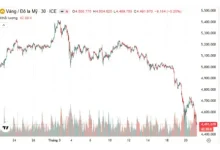 أكبر تراجع اقتصادي يشهده الشرق الأوسط منذ بداية الصراع