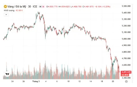 أكبر تراجع اقتصادي يشهده الشرق الأوسط منذ بداية الصراع – مشاهير أكبر تراجع اقتصادي يشهده الشرق الأوسط منذ بداية الصراع – مشاهير