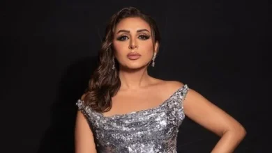 أنغام تشعر بالذعر إثر تحليق طائرة فوق حفلها الأخير