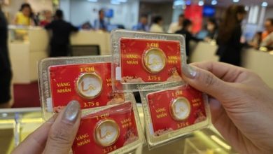 ارتفاع جديد في أسعار سبائك وخواتم الذهب من شركة SJC مساء الخامس من مارس