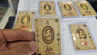 ارتفاع سعر سبائك الذهب من شركة SJC في 10 مارس مع تراجع حاد لأسعار النفط الخام