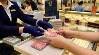 ارتفاع طفيف في أسعار الذهب محليًا وعالميًا يحث المستثمرين على الانتباه للفرص قصيرة الأجل