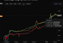 استقرار أسعار الذهب المحلية مع تباين يصل إلى 24 مليون دونغ عن الأسعار العالمية