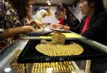 استقرار أسعار الذهب المحلية مع فروق تصل إلى 24 مليون دونغ فيتنامي للأونصة مقارنة بالأسعار العالمية