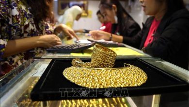 استقرار أسعار الذهب المحلية مع فروق تصل إلى 24 مليون دونغ فيتنامي للأونصة مقارنة بالأسعار العالمية
