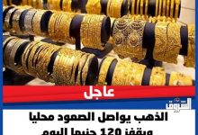 استقرار الذهب عند 7410 جنيه في ختام تعاملات مسائية نشطة