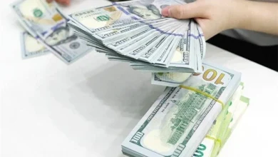 استقرار سعر الدولار اليوم السبت 14 مارس 2026 في البنوك وأثره على السوق المالي في مصر