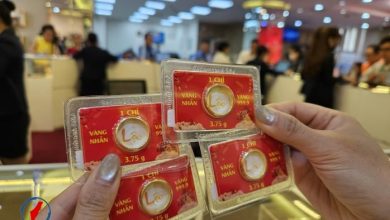 استقرار سعر سبيكة الذهب SJC فوق 180 مليون دونغ للأونصة