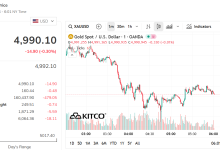 استمرار ارتفاع أسعار الذهب في شركة SJC رغم تراجع الأسعار العالمية