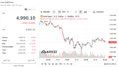 استمرار ارتفاع أسعار الذهب في شركة SJC رغم تراجع الأسعار العالمية