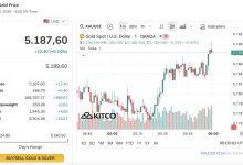 الأسعار تستقر مع استمرار مستوياتها المرتفعة وسط تقلبات ملحوظة