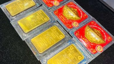 الاحتجاجات تستمر بمستويات مرتفعة رغم التحديات الراهنة