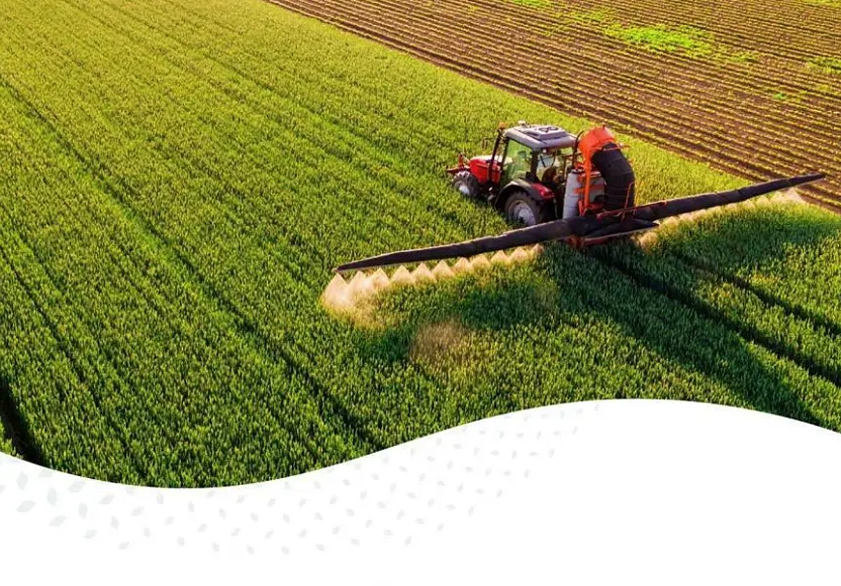 الهيئة العامة للأمن الغذائي تعلن إصدار الدفعة الثانية من القمح المستورد لعام 2026