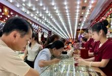 انخفاض أسعار SJC وDOJI وPNJ بمقدار 7.5 مليون دونغ فيتنامي