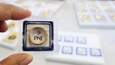 انخفاض أسعار سبائك وخواتم الذهب من شركة SJC بأكثر من مليوني دونغ فيتنامي في صباح 6 مارس رغم اتجاهات السوق العالمية