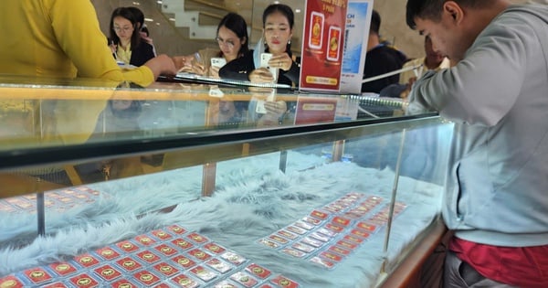 انخفاض سعر سبائك الذهب SJC بأكثر من 6 ملايين دونغ فيتنامي خلال أيام قليلة في بداية مارس