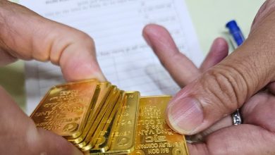 انخفاض كبير في أسعار خواتم الذهب وتصاعد الإقبال الجماهيري عليها بأعداد ضخمة