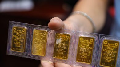 انخفاض مستمر في أسعار الذهب اليوم 20 مارس 2026 مع تراجع قيمتها بملايين الدونغ للأونصة لدى شركة SJC