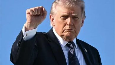 تأثير تصريحات ترامب يدفع الذهب عالمياً لتقليل خسائره والمحلي يعود للارتفاع