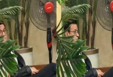 تأجيل جلسة تأديب حلمي عبد الباقي بنقابة الموسيقيين وفقًا للقرار الجديد