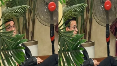 تأجيل جلسة تأديب حلمي عبد الباقي بنقابة الموسيقيين وفقًا للقرار الجديد