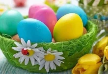 تبدأ بشم النسيم تعرف على قائمة الإجازات الرسمية المتبقية في مصر 2026 كاملة