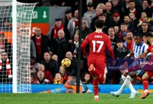 تتابع الآن بث مباشر مباراة ليفربول وبرايتون في الدوري الإنجليزي عبر يلاشوت