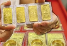 تحديث أسعار الذهب في شركات SJC وDOJI وBTMC وPNJ مع مراجعة أسعار الخواتم والأسعار العالمية