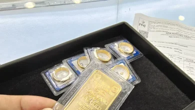 تحديث شامل لأسعار ذهب SJC وخواتم الذهب المحلية إلى جانب أسعار الذهب العالمية