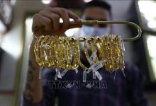 تراجع أسعار الذهب في شركة SJC بنصف مليون دونغ وسط توقعات سعر عالمي عند 6200 دولار أمريكي