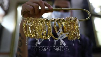 تراجع أسعار الذهب في شركة SJC بنصف مليون دونغ وسط توقعات سعر عالمي عند 6200 دولار أمريكي