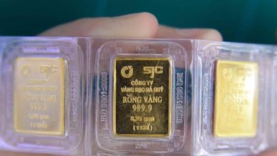 تراجع أسعار الذهب في مطلع الأسبوع مع هبوط سعر أونصة الذهب في شركة SJC بمقدار 2.5 مليون دونغ فيتنامي