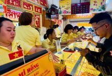 تراجع بقيمة 15 مليون دونغ فيتنامي لكل تايل خلال أسبوع في ذروة أسعار الذهب