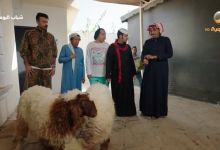 خروف العيد يشعل فوضى في الاستراحة ويشتعل التوتر ضمن أحداث شباب البومب 1