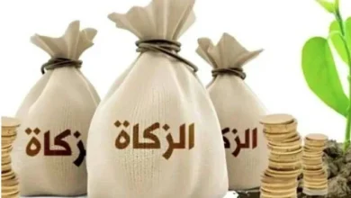 زكاة الفطر 2026 في مصر الحد الأدنى للفرد وكيفية حسابها بالتفصيل والخطوات اللازمة