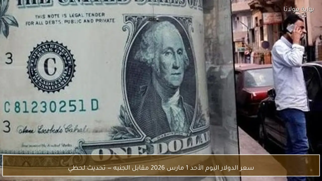 سعر الدولار أمام الجنيه اليوم الأحد 1 مارس 2026 تحديث لحظي ومباشر